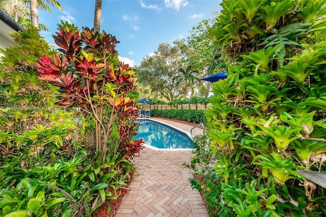 view of pool featuring a patio