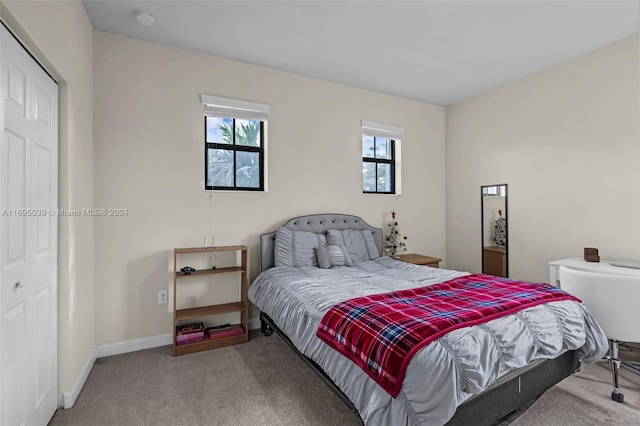 carpeted bedroom featuring a closet