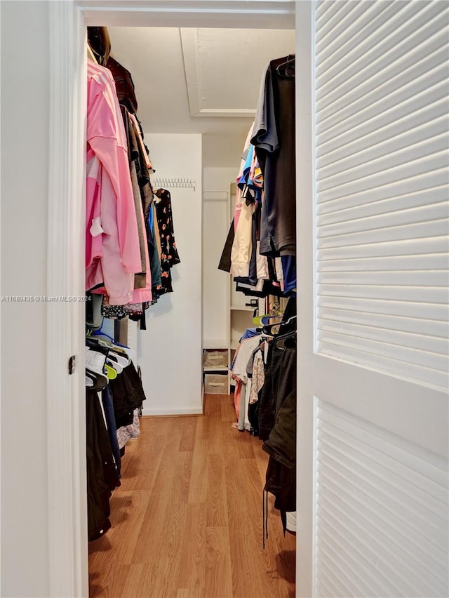 spacious closet featuring light wood-type flooring