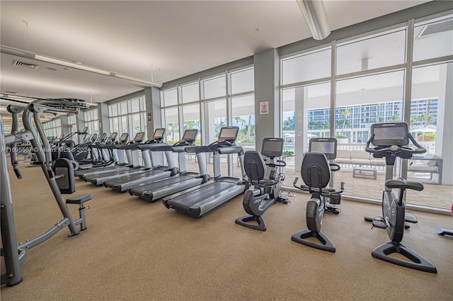 workout area with a wealth of natural light