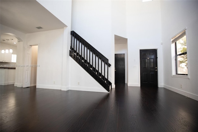 entrance foyer with a towering ceiling and dark wood-type flooring