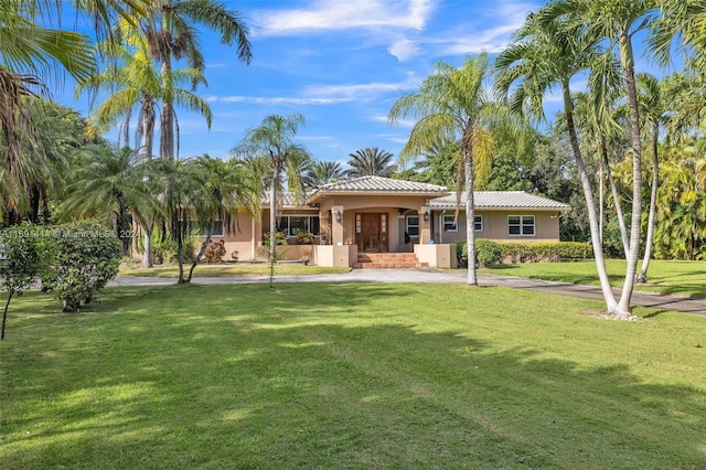 back of house featuring a yard