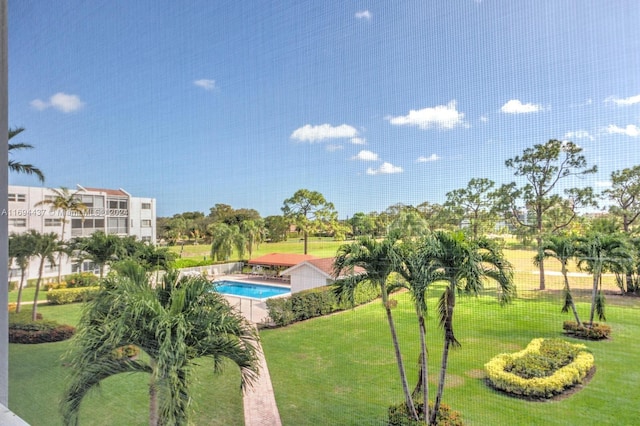 view of pool featuring a yard