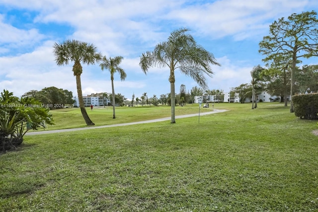 view of property's community featuring a yard