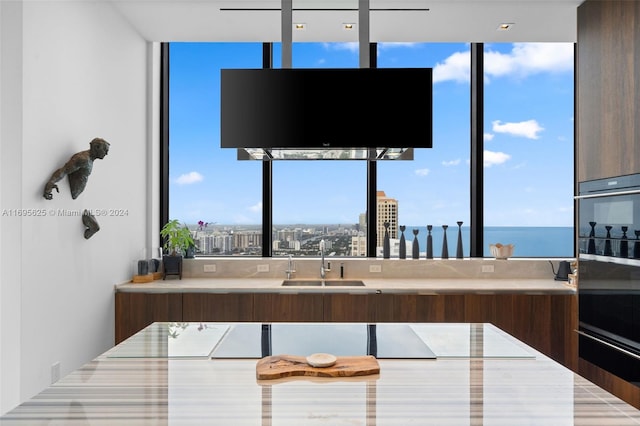 kitchen with dark brown cabinetry, double oven, a healthy amount of sunlight, and sink