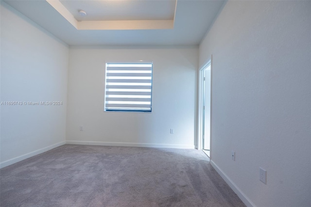 empty room featuring carpet and a tray ceiling