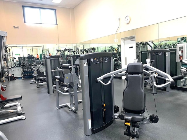 exercise room with a high ceiling