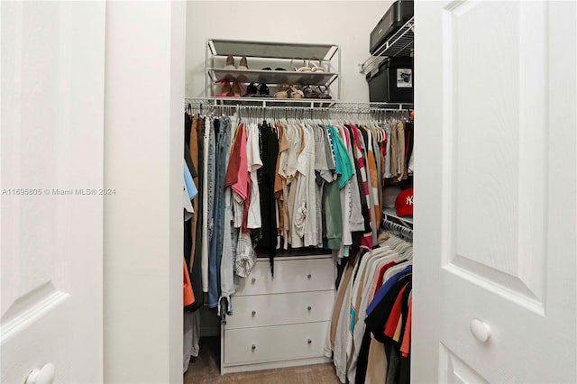 view of walk in closet