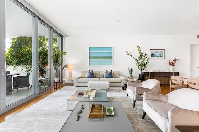 living room featuring wood-type flooring