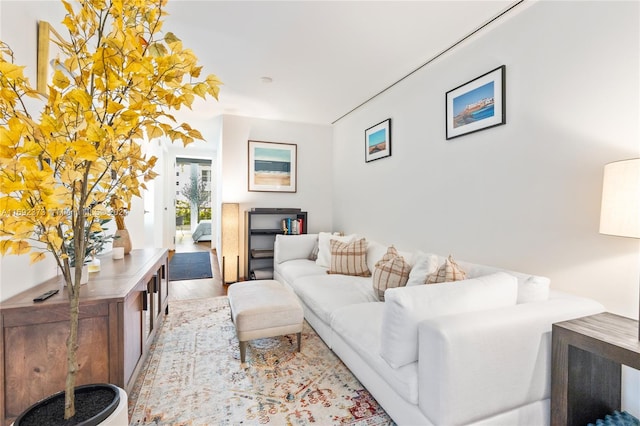 living room featuring light wood-type flooring