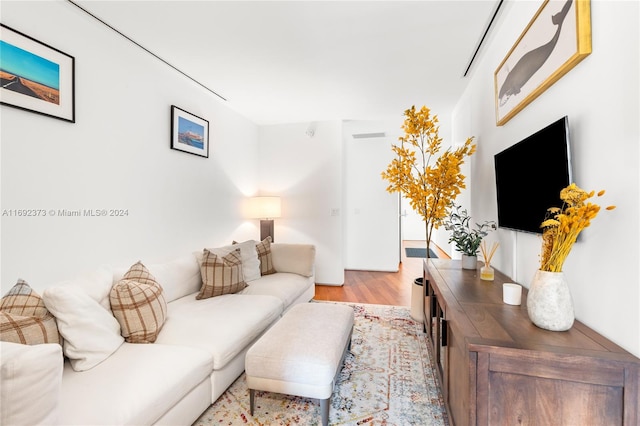 living room featuring light hardwood / wood-style floors