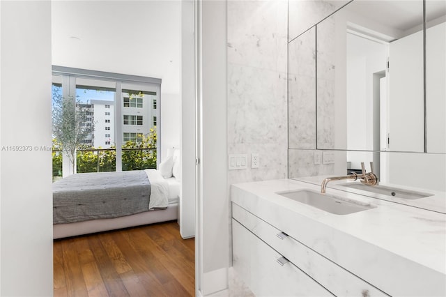 bathroom with wood-type flooring and vanity