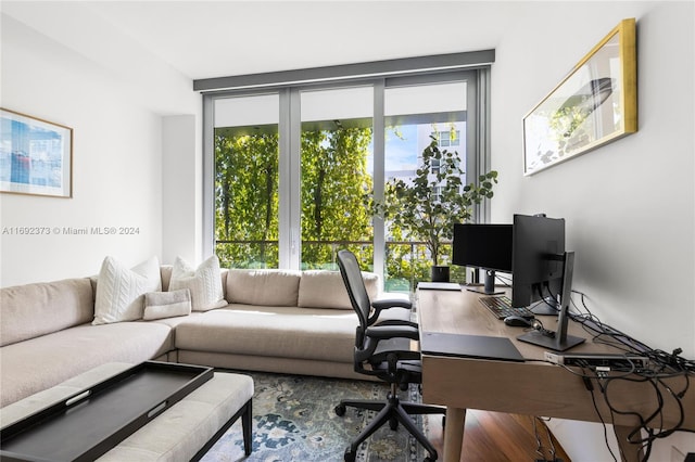 office space with hardwood / wood-style flooring and a healthy amount of sunlight