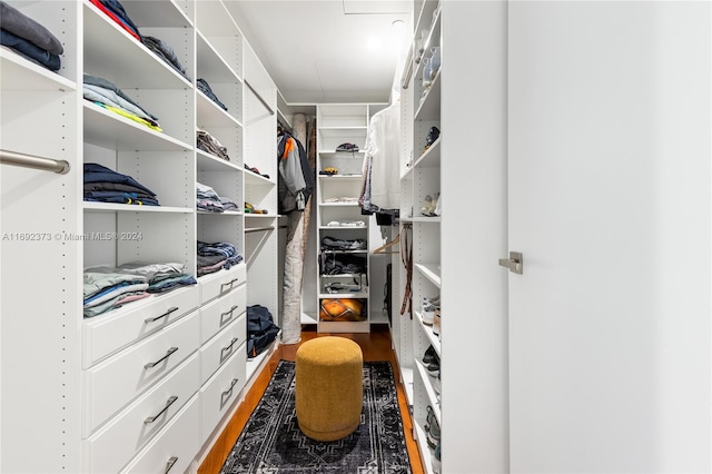 walk in closet with wood-type flooring