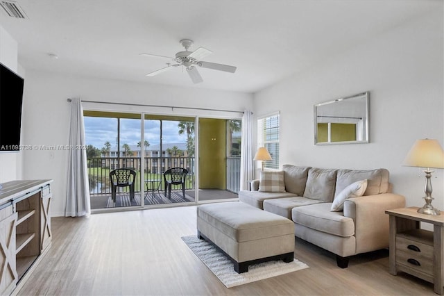 living room with a wealth of natural light, light hardwood / wood-style flooring, and ceiling fan