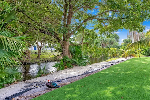 surrounding community with a lawn and a water view