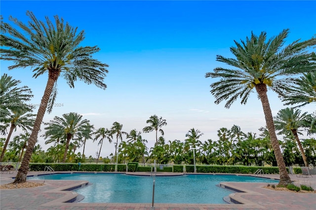 view of swimming pool