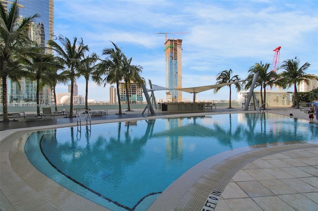 view of pool featuring a patio area