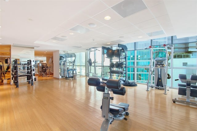 exercise room with a paneled ceiling, a wall of windows, and light hardwood / wood-style flooring