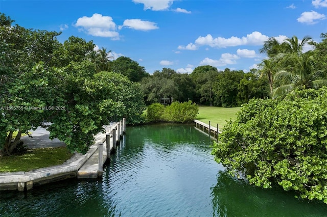 8565 Old Cutler Rd, Coral Gables, FL 33143