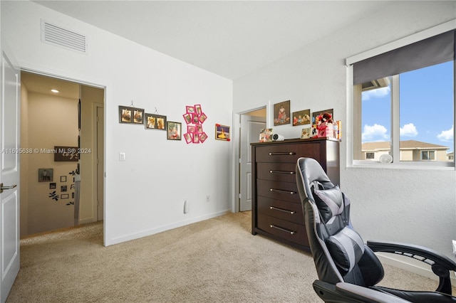 view of carpeted home office