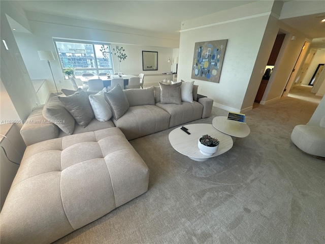 living room with carpet floors