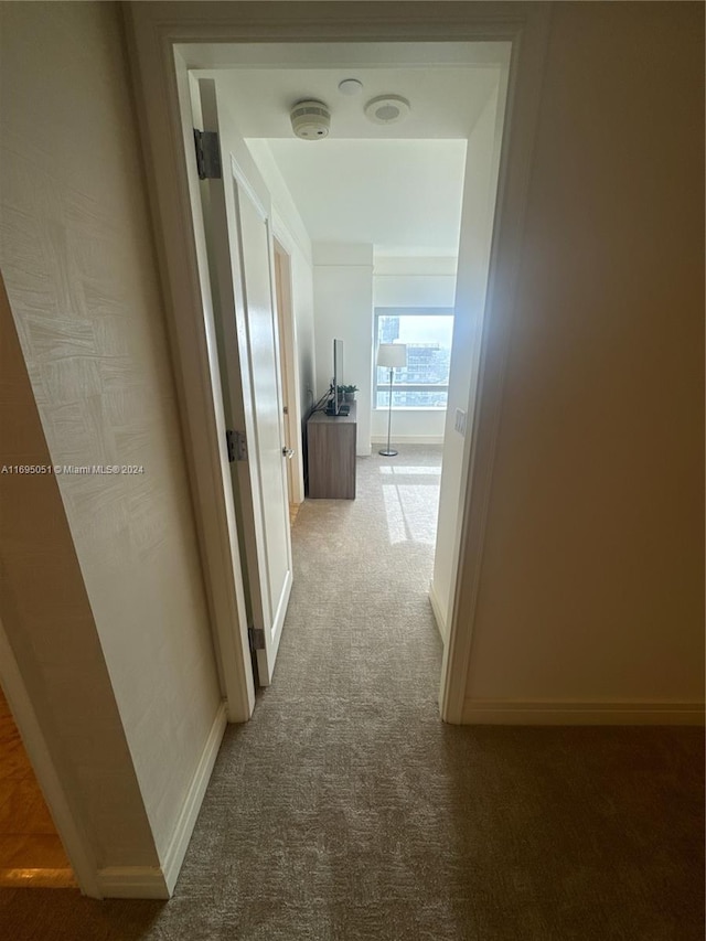 hallway featuring carpet floors