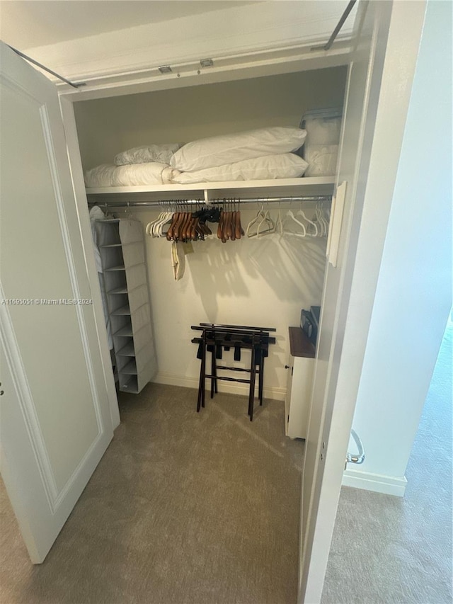 view of closet