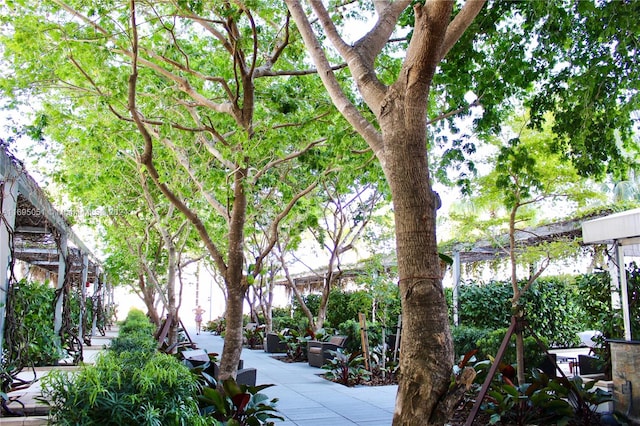 view of home's community featuring a patio area