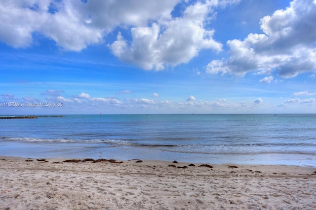 view of water feature featuring a view of the beach