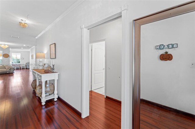 hallway featuring ornamental molding and dark wood-type flooring