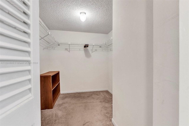 spacious closet with light colored carpet