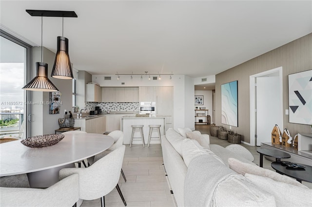 living room featuring sink and track lighting