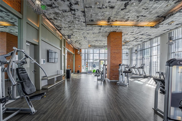 gym with hardwood / wood-style flooring and floor to ceiling windows