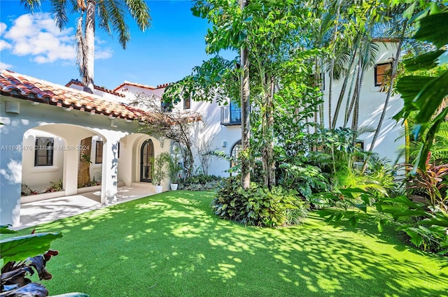 rear view of property featuring a patio area and a lawn