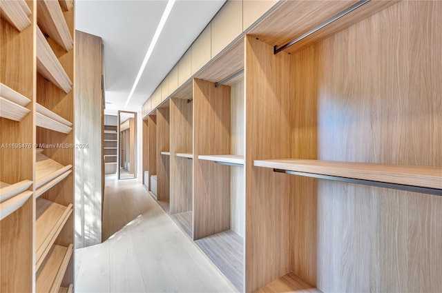 walk in closet featuring light hardwood / wood-style flooring