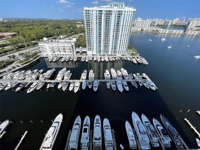 bird's eye view with a water view