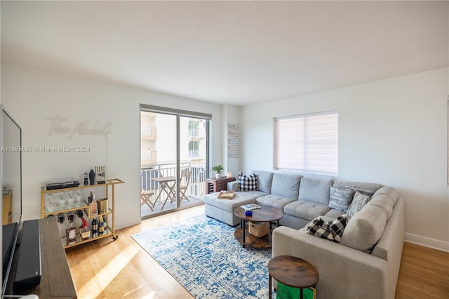 living room with hardwood / wood-style flooring and a wealth of natural light