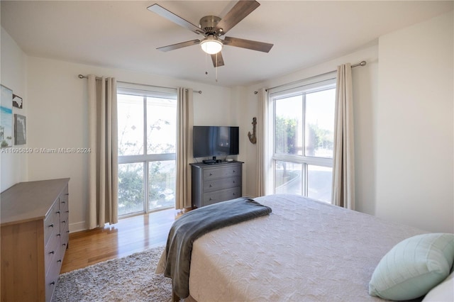 7275 SW 90th St Unit C212, Miami, FL 33156 - bedroom with light wood-type flooring, ceiling fan, and baseboards