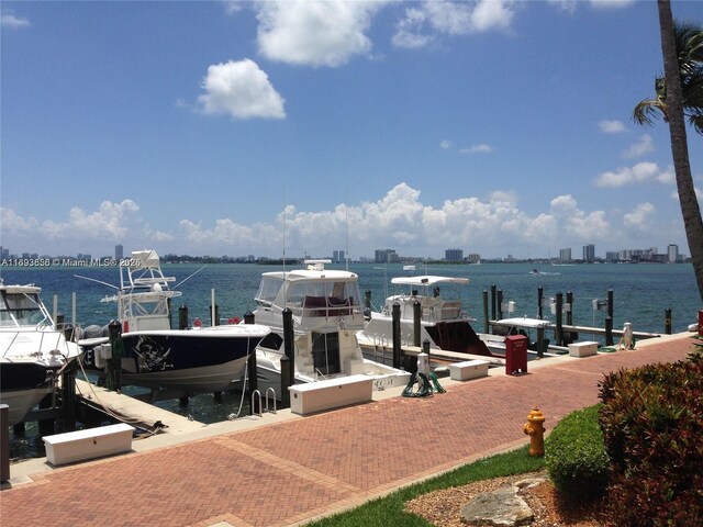 dock area with a water view