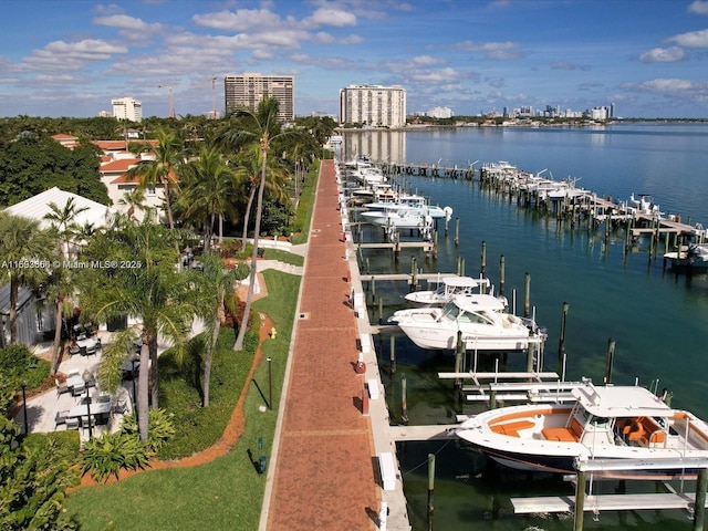 dock area with a water view