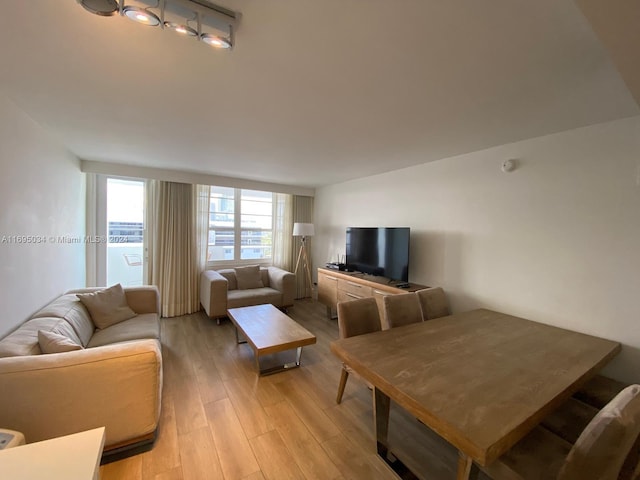 living room with light hardwood / wood-style floors