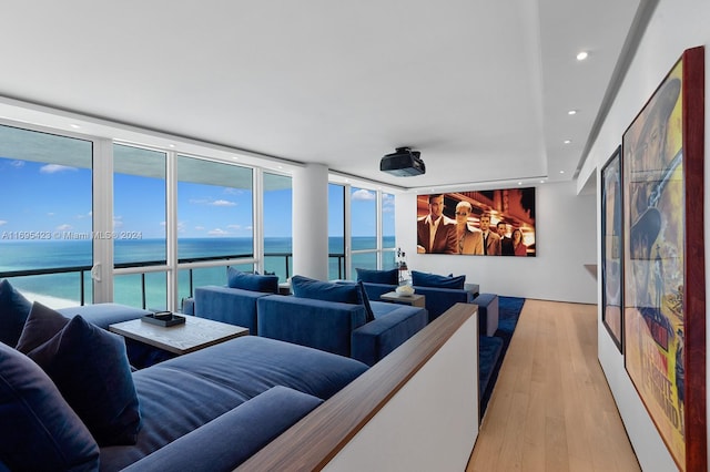 cinema room featuring a healthy amount of sunlight and light wood-type flooring