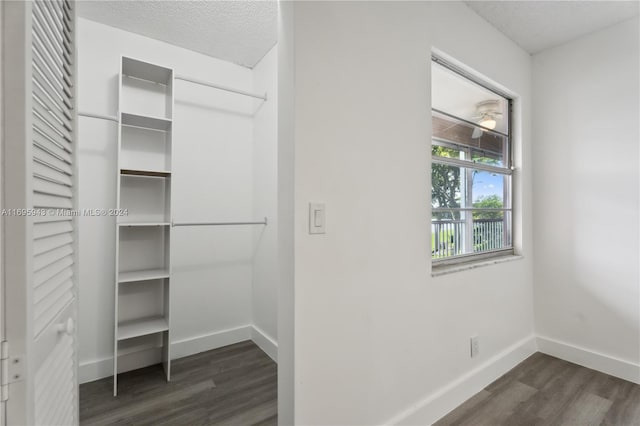 walk in closet featuring dark wood-type flooring