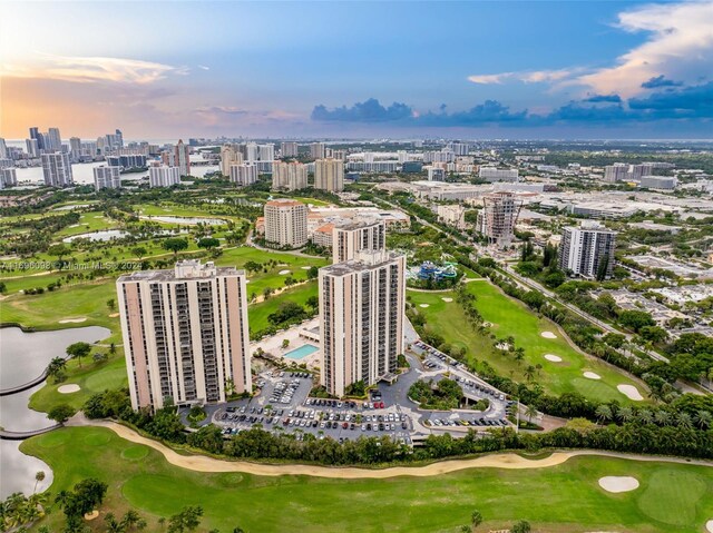 drone / aerial view