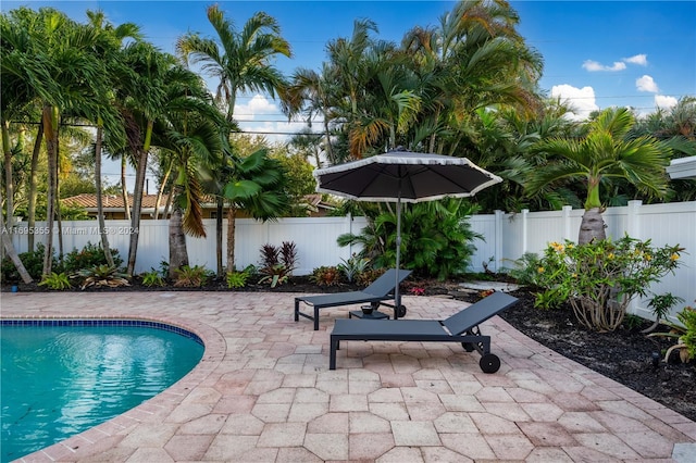 view of pool featuring a patio