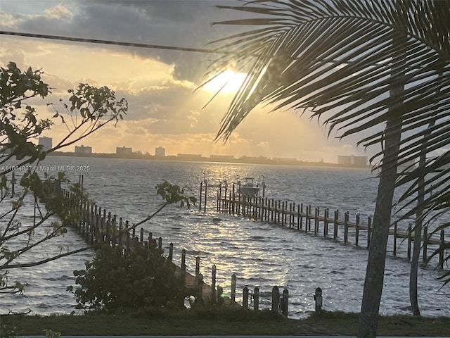 dock area with a water view