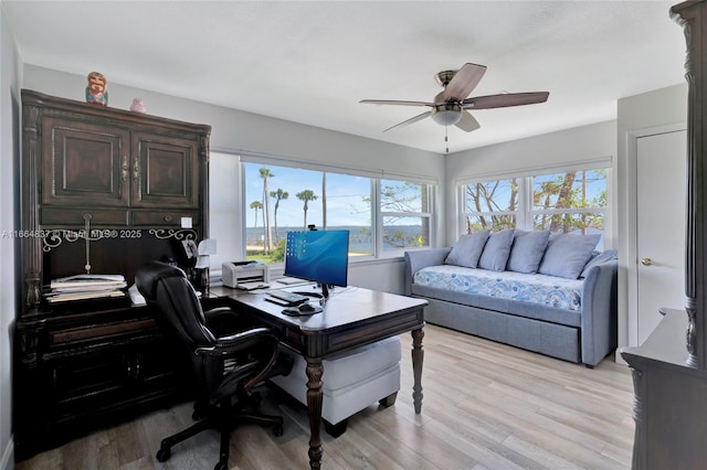 office area featuring light wood-style flooring and ceiling fan