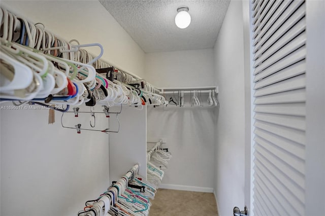 walk in closet with light colored carpet