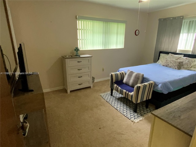 bedroom with light colored carpet